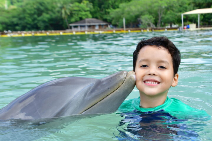 Child at dolphin encounter — one of the top things to do in Roatán with children