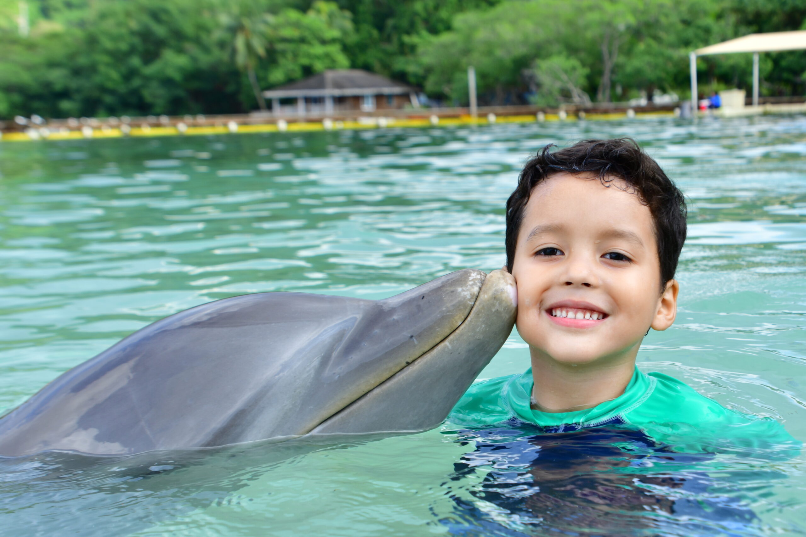 Child at dolphin encounter — one of the top things to do in Roatán with children